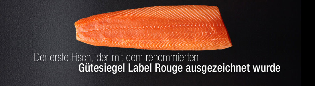 Der erste fisch der mit dem renommierten Gutesiegle Label Rouge ausgezeichnet wurde