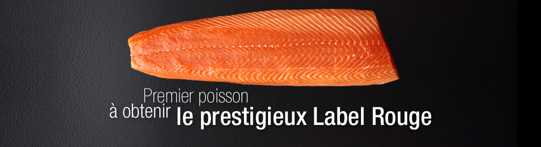 La saumon écossais label rouge est le premier poisson à obtenir le prestigieux Label Rouge