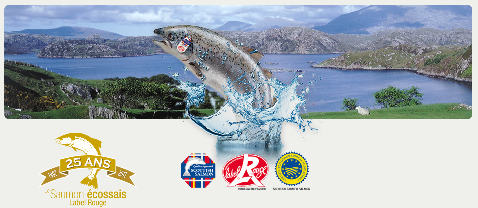 Paysage de l'écosse présentant le saumon écossais label rouge