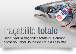 Lien vers la traçabilité totale du saumon écossais label rouge