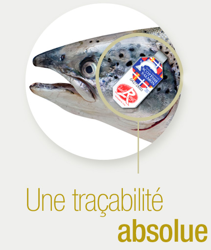 La saumon écossais label rouge a une traçabilité absolue